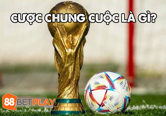 tim-hieu-ve-cuoc-chung-cuoc-88betplay-org-1 (1).jpg