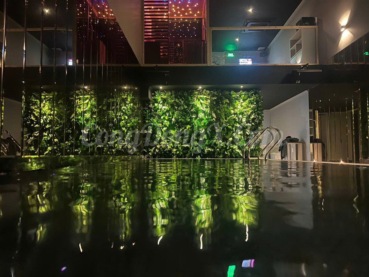 Nhạc Dương Lầu - Free vé