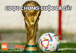 tim-hieu-ve-cuoc-chung-cuoc-88betplay-org-1 (1).jpg