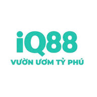 iq88city