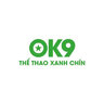 ok9foundationn