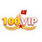 100vipdesign