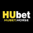 hubethorse3